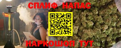 гидра Ипатово