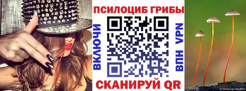 MEGA ONION Дагестанские Огни Галлюциногенные грибы Psilocybine cubensis