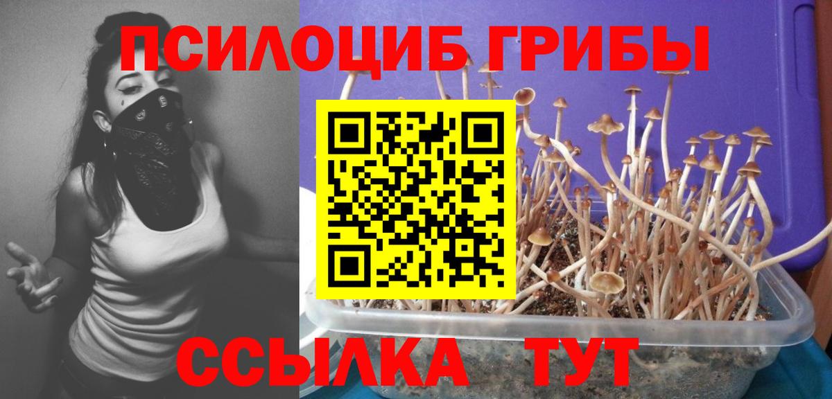 Дагестанские Огни  Галлюциногенные грибы мицелий  Вход с VPN 