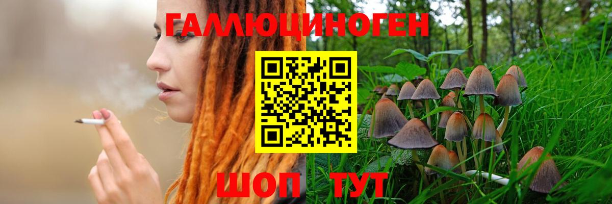 Псилоцибиновые грибы Cubensis Дагестанские Огни