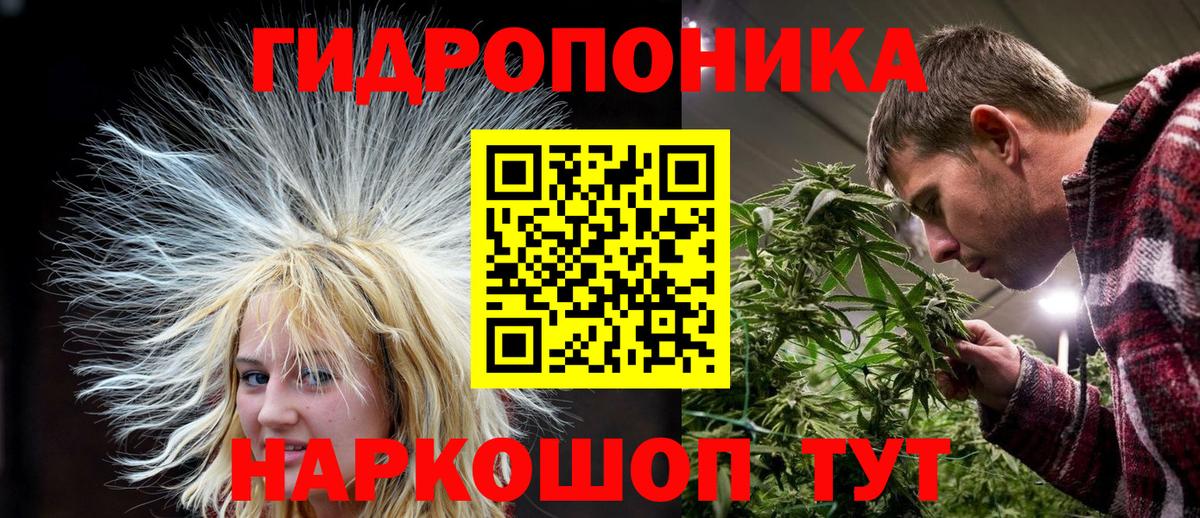 Канабис тримм  Бошки марихуана индика  Дагестанские Огни  Марихуана индика  Вход с VPN 